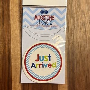 NEW Mud pie Boy Milestone stickers 12 pack
